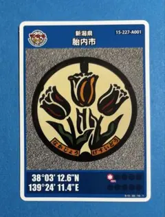 マンホールカード 新潟県胎内市A 005