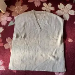 ライトベージュ Vネック ニットベスト L