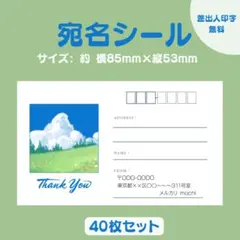 Item thumbnail for item b05293da-0af7-4074-82c6-f4ab8578a900