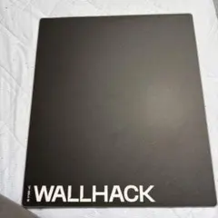 150枚限定 WALLHACK ガラスマウスパッド WOK22 コラボ - メルカリ