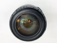 Item thumbnail for item 1e68ecdf-77dc-45e3-a1be-3518d578d978