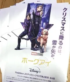 marvel ホークアイ　チラシ　５枚　マーベル　mcu ヤングアベンジャーズのサムネイル