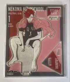 【未開封品】ハイキュー 黒尾鉄朗 アクリルスタンド オフショット カラー 第2弾