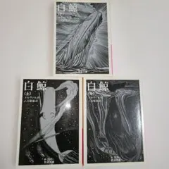 【全巻セット】白鯨 上中下　メルヴィル　岩波文庫　まとめ売り
