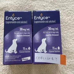 2025年最新】エンタイス 犬の人気アイテム - メルカリ