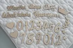 2025年最新】vanner アルバムの人気アイテム - メルカリ