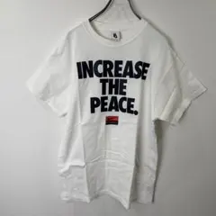S00576｜STUSSY｜半袖｜Tシャツ｜プリント｜ホワイト｜NIKE｜コラボ