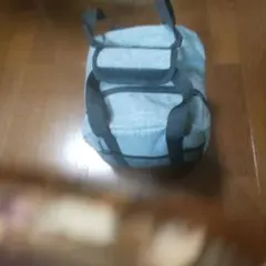 ブランズウィック　Brunswick　ボーリングボール　キャリーバック付き