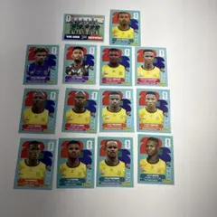 PANINI FIFA World Cup 2026 南アフリカ代表 14枚