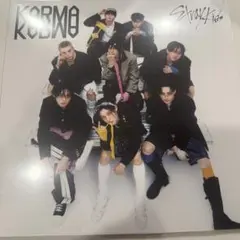 straykids karma straykids shop 限定　vinyl