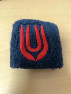 unison square garden ミュージシャン