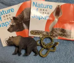 Nature of Japan 日本のいきもの　ヒグマとハブ