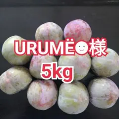 URUMЁ☻様　山梨県産　ソルダム　5kg　プラム　すもものサムネイル