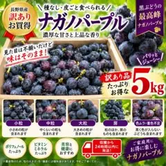 6旬のナガノパープル 粒1kg - メルカリ