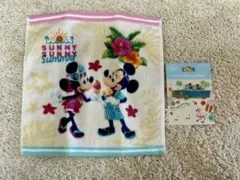 東京ディズニーリゾート サニーサニーサマー ミニタオル ピンバッジ