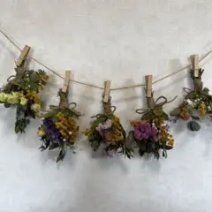 ドライフラワー スワッグ ガーランド5点セット260309