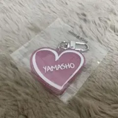 YAMASHO 会場ガチャ THE REASON 山本彰吾