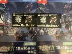 色違い コライドン ミライドン 2枚セット ポケットモンスター