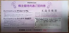 Bunkamura ザ・ミュージアム ル・シネマ 五島美術館 優待共通招待券