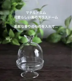 フランスアンティーク NYMPHEA パウダーボックス - メルカリ