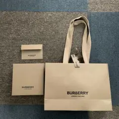 ゆ*ん様 Burberry 未開封　新品　プレゼント包装(紙袋付き) ワンピース SWAN 紙袋 Nフラットチャームバッグ 340-1(平手) 未晒無地 50枚