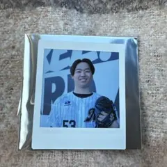 Item thumbnail for item 367dd498-0d35-4dd7-80f4-f75a92762d77