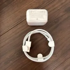 Apple 20WUSBPowerAdapter & Lightningケーブル