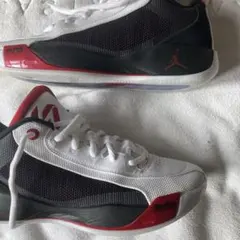 Jordan brand luka77 US 10.5 箱付き