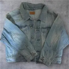 【ふ様専用】earth ライトブルーデニムジャケット