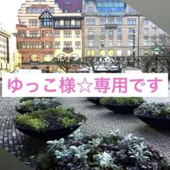 ☆ゆっこ様☆専用です