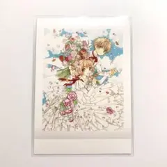 CLAMP展　ぱしゃこれ　カードキャプターさくら