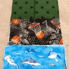 Item thumbnail for item 6525d0fe-3c33-4513-805c-fe558bc8dd37