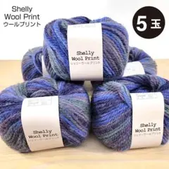 元廣 シェリーウールプリント　並太ウール段染め　col.4012－5玉