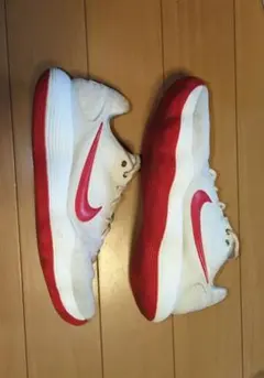 NIKE ハイパーダンク2017lowルナニューイヤー