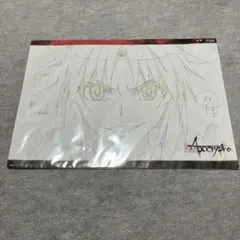 Apocrypha Fate FGO モードレッド　ランチョンマット　マチアソビ