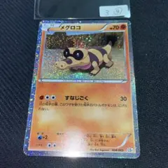 3④メグロコ