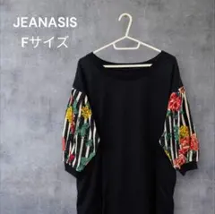 JEANASIS Fサイズ 袖花柄ストライプチュニック ジーナシスのサムネイル