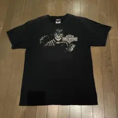 ハーレーダビッドソン Harley Tシャツ スカル バンド フレイム スパイダ