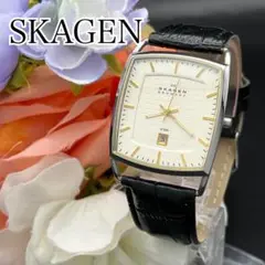 稼動 腕時計　SKAGEN スカーゲン　メンズ　新品ベルト　デイト　C77