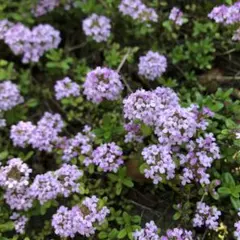 j.m様　専用ページ