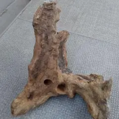 Item thumbnail for item 1510c04b-491c-4402-a8fd-70de692713ed