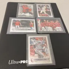 Item thumbnail for item d90294e8-baff-4d71-af3c-9af47bcb2253