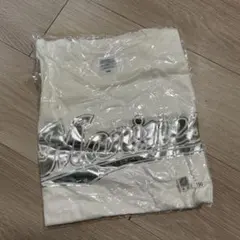 Item thumbnail for item 0b031613-28e3-40dc-bfa0-6daa350598dc