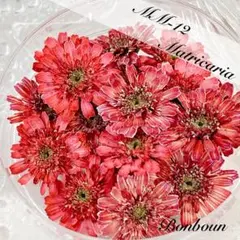 ResinArt❁NICOLE❁プロフ必様 リクエスト 3点 まとめ商品