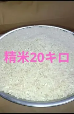 送料込み 令和8年 新米 魚沼産コシヒカリ玄米20キロ 十日町産 - メルカリ