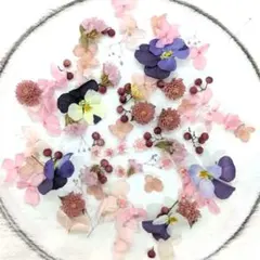 押し花 素材 ミックス アソート【2604】 押し花 素材 ミックス アソート【2604】 - メルカリ