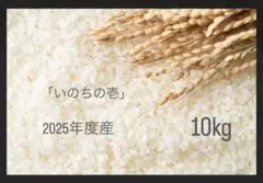 栃木県産農家直売ゆうだい21精米後9kg - メルカリ