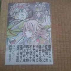 劇場版 鬼滅の刃 入場者特典 第12弾 パンフレット副読本 鬼殺隊編
