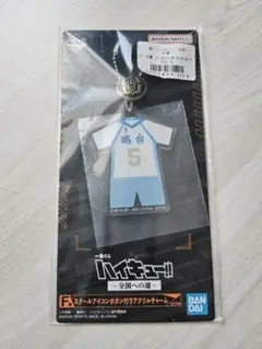 【ハイキュー!!】一番くじ F賞 星海光来×2 E賞 孤爪研磨