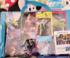 Imagining the Magic レジャーシート